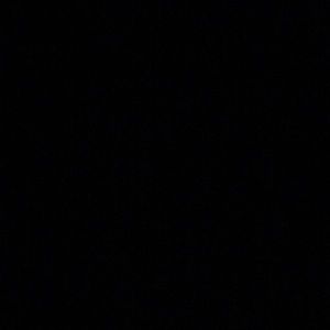 Meet your Posher, Hayden